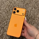 iPhone 17 Pro Max (photo 1)