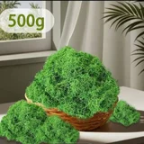 Декоративный мох (photo 1)