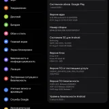 Samsung Galaxy Tab S9 FE+ 8/128 GB (photo 3)