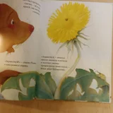 Книга Всё будет хорошо Книстер (photo 3)
