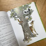 Детская книга Бемби (photo 4)