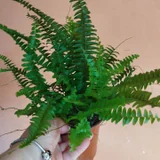 Разное (photo 1)