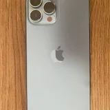 iPhone 13 Pro Max (photo 1)