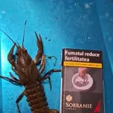 Морепродукты и рыба (photo 1)
