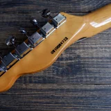 Электрогитара Grass Roots G-TE-50M BLK (photo 4)