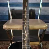 Washburn Bella Tono Vite S9V (photo 2)