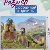 Пазл Step Puzzle с сурками 500 деталей (photo 2)