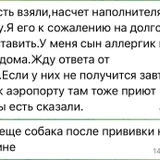 Котёнок в добрые руки (photo 2)