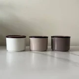 Комплект тарелок 6 шт (photo 1)