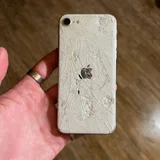 iPhone 12 Mini (photo 3)