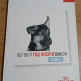 Штора для душа (photo 2)