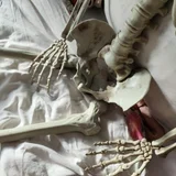 Пластиковый скелет 160 см (photo 4)