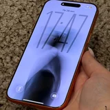 iPhone 17 Pro Max (photo 3)