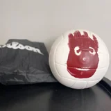 Волейбольный мяч Wilson (photo 1)