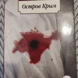 История кошки по имени Кома (photo 5)