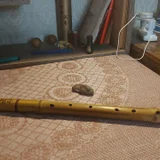 Бансури Благозвучие До-Диез (photo 2)
