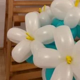 Video demonstration