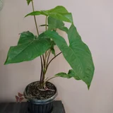 Комикс (photo 6)