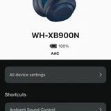 Наушники Sony WH-XB900N (photo 3)