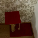 Кошачья когтеточка (photo 1)