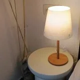 Video demonstration