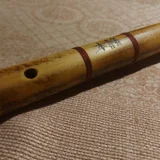 Orion Drum (Язычковый барабан) (photo 4)