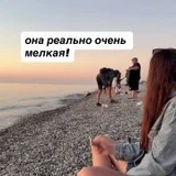 Собака в поисках дома (photo 3)