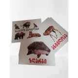 Обучающие карточки (photo 2)