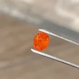 Video demonstration
