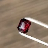 Video demonstration