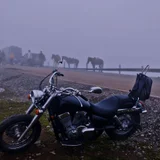 Мотоцикл Honda Shadow 750VT (photo 1)