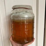 Чайный гриб с банкой (photo 1)