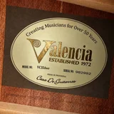 Классическая гитара Valencia VC354WR 4/4 с чехлом (photo 5)