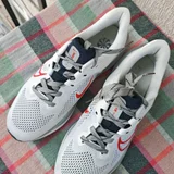 Беговые кроссовки Nike FD6033-107 (photo 2)