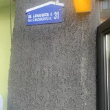 Отростки денежного дерева (photo 2)