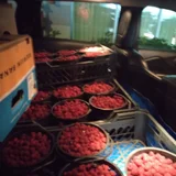 Малина (photo 2)