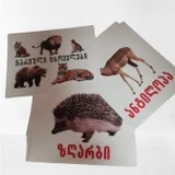 Обучающие карточки (photo 1)