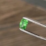 Video demonstration