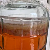 Чайный гриб с банкой (photo 2)