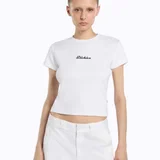 Футболка Dickies (photo 1)