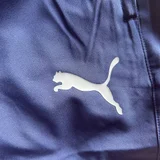 Брюки Puma teamLIGA Sideline Pants (photo 4)