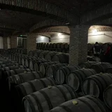 Тур на Ртвели в Кахетию (photo 4)