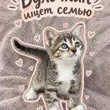 Котенок Булочкин, 2 месяца (photo 1)