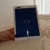 iPad (photo 1)