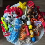 Игрушки для собак (комплект 17 шт) (photo 1)