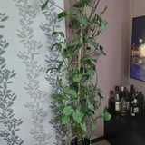 Кастрюля (photo 2)