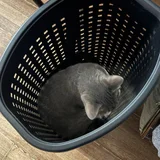 Корзина для белья (photo 1)
