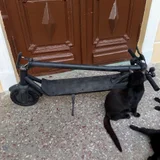 Самокат (photo 10)