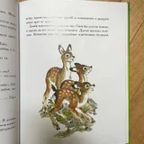 Детская книга Бемби (photo 3)