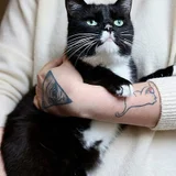 Кошка Юми (photo 1)